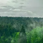 Harzurlaub Ii