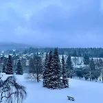 Harzurlaub Ii Apartman