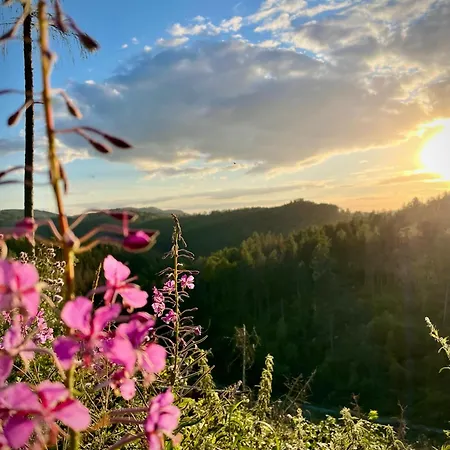 Harzurlaub Ii Apartment Goslar