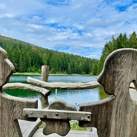 Apartment Harzurlaub Ii Goslar