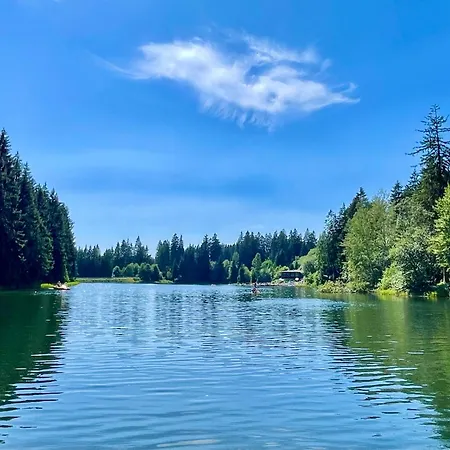 Apartment Harzurlaub Ii