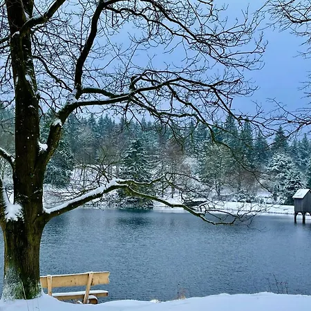 Harzurlaub Ii Apartment Goslar