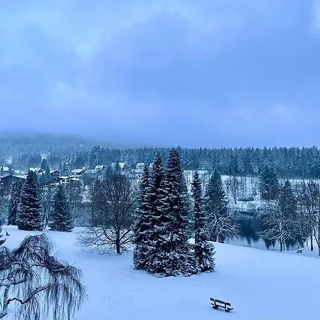 Harzurlaub Ii Apartment