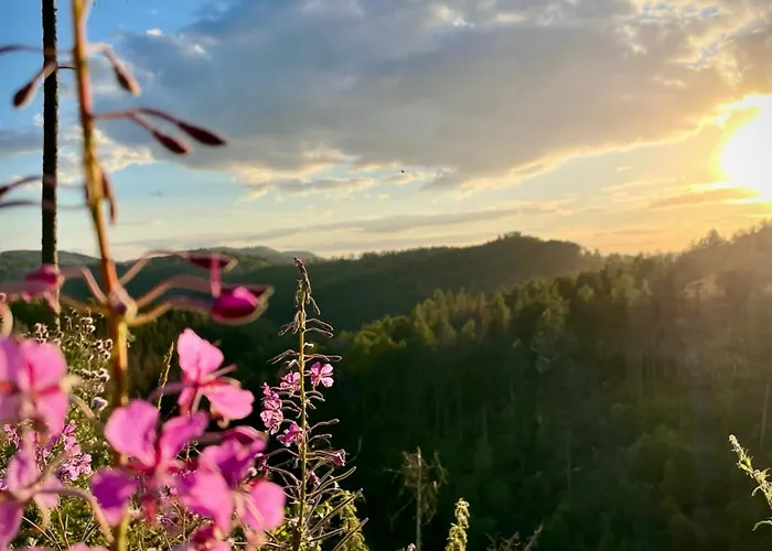 Harzurlaub Ii Daire Goslar