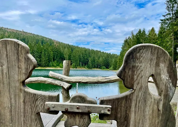 Daire Harzurlaub Ii Goslar